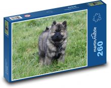 Pes - Eurasier Puzzle 260 - 41x28,7 cm