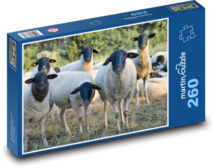 Schafherde - Puzzle - 260 Teile