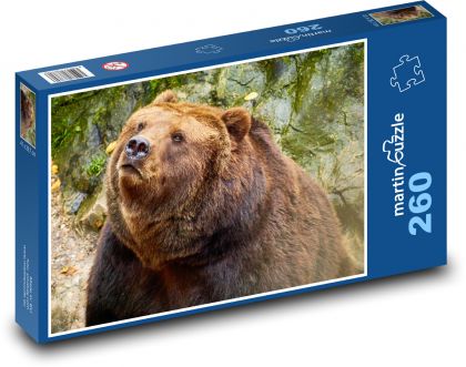 Braunbär - Puzzle - 260 Teile