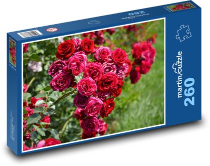 Červená ruža - Puzzle 260 dielikov, rozmer 41x28,7 cm