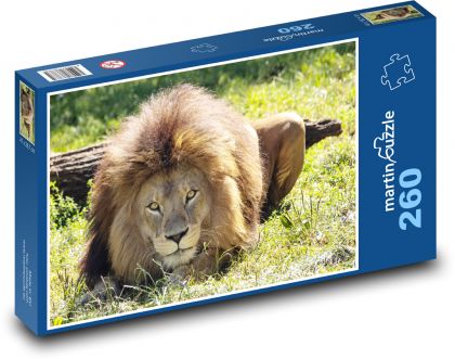 Löwe - Biest - Puzzle - 260 Teile
