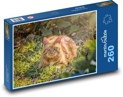 Zardzewiały kot w trawie - Puzzle 260 elementów, rozmiar 41x28,7 cm