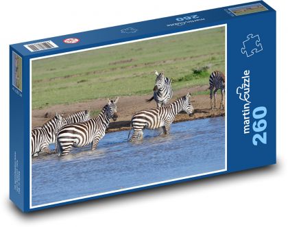 Afrika - zebra - puzzle 260 dílků