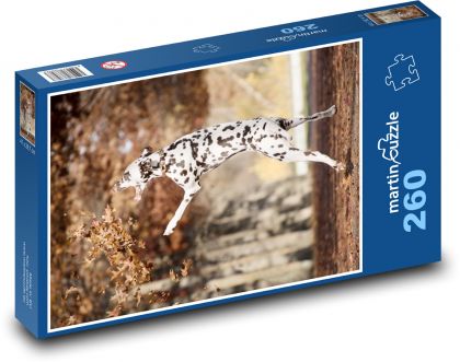 Dalmatian - dog - Puzzle 260 pieces, size 41x28.7 cm 