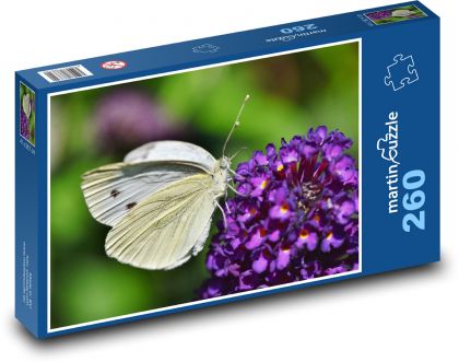 Motýl - hmyz na květině - puzzle 260 dílků
