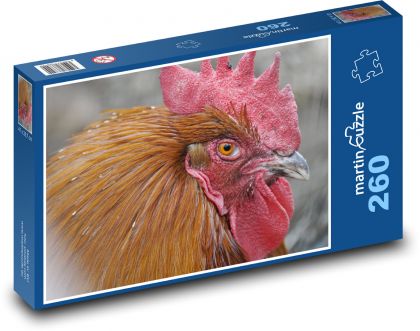Bird - Rooster - Puzzle 260 pieces, size 41x28.7 cm 