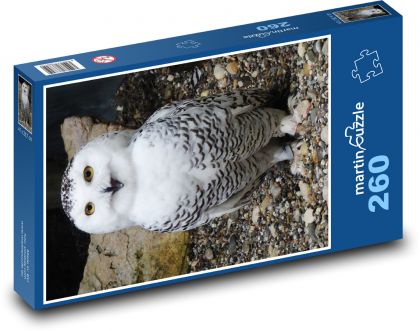 Sněžná sova - puzzle 260 dílků