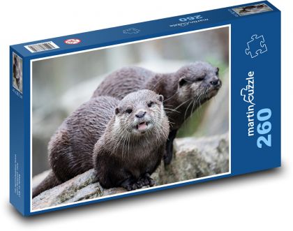 Vydra - hlodavec - Puzzle 260 dielikov, rozmer 41x28,7 cm