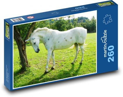 White Horse Grazing - Puzzle 260 pieces, size 41x28.7 cm 