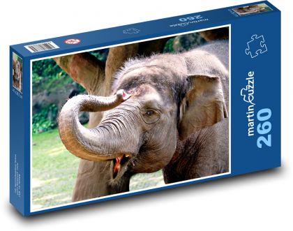Słoń - ssak - Puzzle 260 elementów, rozmiar 41x28,7 cm