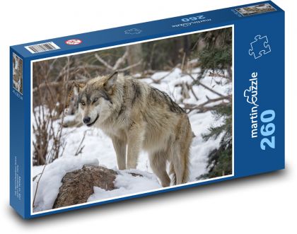 The wolf in the forest - Puzzle 260 pieces, size 41x28.7 cm 