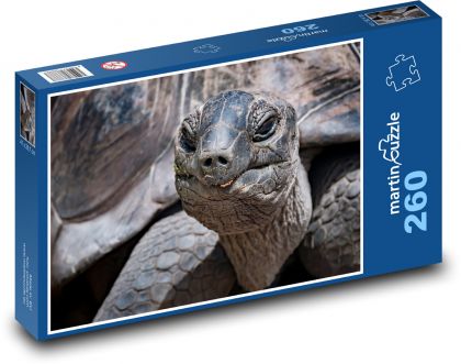 Želva - plaz - puzzle 260 dílků