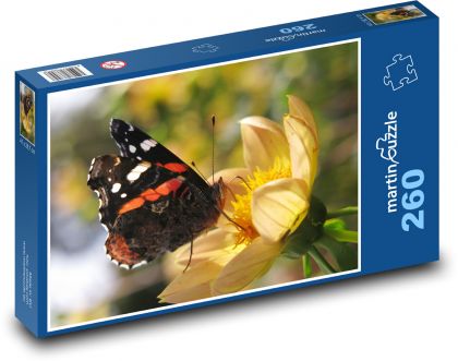 Admirál - motýl - puzzle 260 dílků
