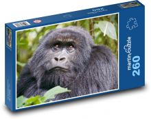 Gorilla Puzzle 260 Teile - 41 x28,7 cm