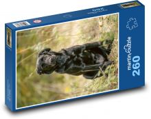 Schwarzer Labrador - Hund Puzzle 260 Teile - 41 x28,7 cm