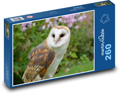 Sova - pták - puzzle 260 dílků