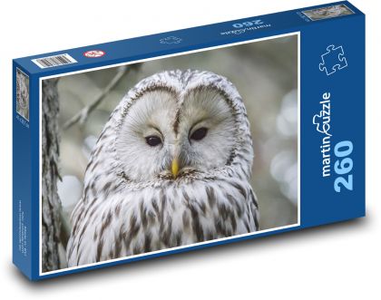 Large white owl - Puzzle 260 pieces, size 41x28.7 cm 