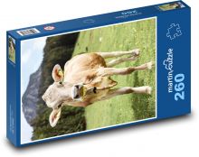 Cow on a mountain meadow Puzzle 260 pieces - 41 x 28.7 cm 