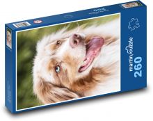 Hlava psa - kólie Puzzle 260 dílků - 41 x 28,7 cm