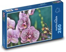 Růževé květy orchideje Puzzle 260 dílků - 41 x 28,7 cm