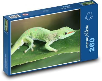 Zielony gekon - Puzzle 260 elementów, rozmiar 41x28,7 cm