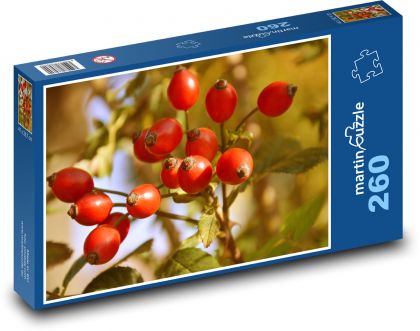 Rosehip bush - Puzzle 260 pieces, size 41x28.7 cm 