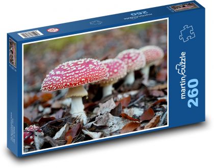 Muchomůrková záplava - puzzle 260 dílků