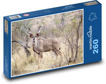 Kudu v africkej savane - Puzzle 260 dielikov, rozmer 41x28,7 cm