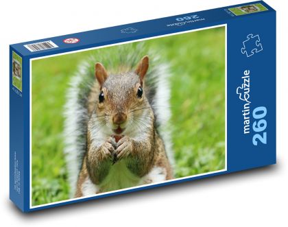 Urocza wiewiórka z orzechem - Puzzle 260 elementów, rozmiar 41x28,7 cm