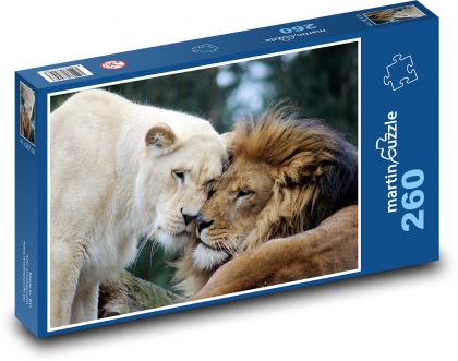 Löwe und Löwin - Puzzle - 260 Teile