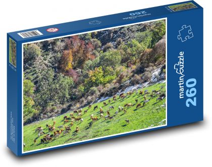 Weidekühe in der Berglandschaft - Puzzle - 260 Teile