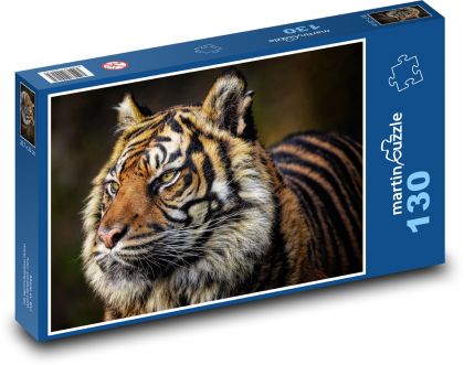 Tygrys - duży kot - Puzzle 130 elementów, rozmiar 28,7x20 cm