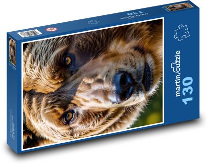 Hlava hnědého medvěda - Puzzle 130 dílků, rozměr 28,7x20 cm