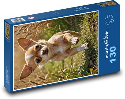 Čivava bežiaca na tráve - Puzzle 130 dielikov, rozmer 28,7x20 cm 