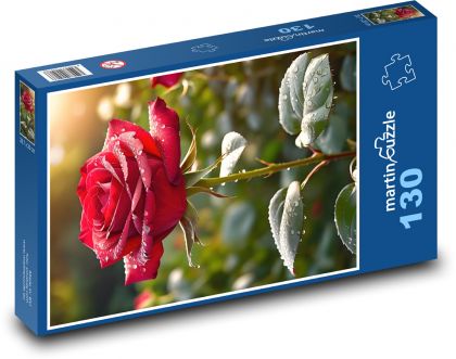 Tau auf einer roten Rose - Puzzle - 130 Teile