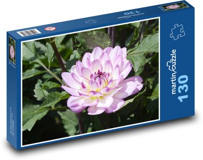 Purple dahlias - autumn flower, garden - Puzzle 130 pieces, size 28.7x20 cm 