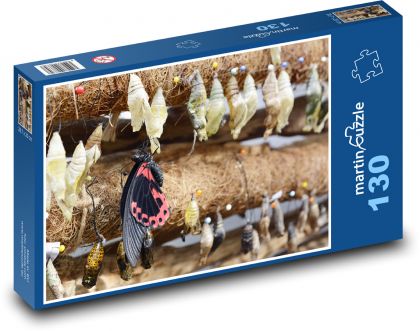 Schmetterling - Insekten, Kapuzen - Puzzle - 130 Teile
