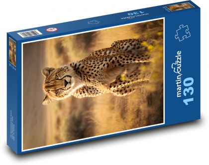 Gepard na savaně - puzzle 130 dílků