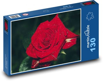 Červená růže s ranní rosou - puzzle 130 dílků