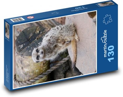 Surikata v zoo - puzzle 130 dílků