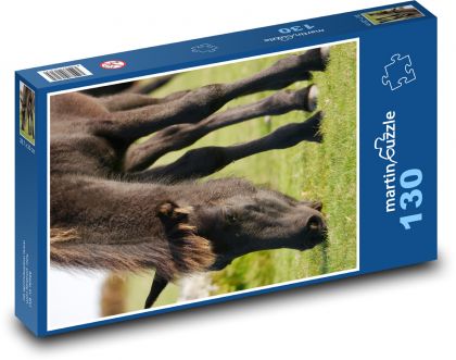 Pony grazing on a meadow - Puzzle 130 pieces, size 28.7x20 cm 