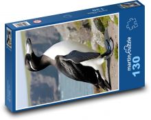 Tučniak - zviera, pobrežie Puzzle 130 dielikov - 28,7 x 20 cm 