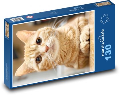 Kočka s dlouhými vousy - puzzle 130 dílků