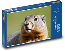 Svišť Puzzle 130 dielikov - 28,7 x 20 cm