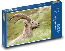 Capra ibex Puzzle 130 pieces - 28.7 x 20 cm 