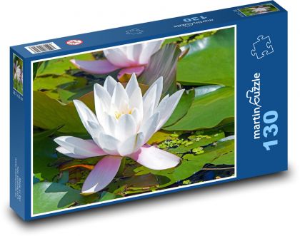 Nymphaea - Puzzle 130 pieces, size 28.7x20 cm 
