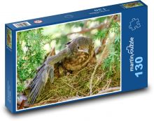 Mládě kosa Puzzle 130 dílků - 28,7 x 20 cm