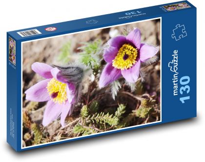 Küchenschelle - Puzzle - 130 Teile