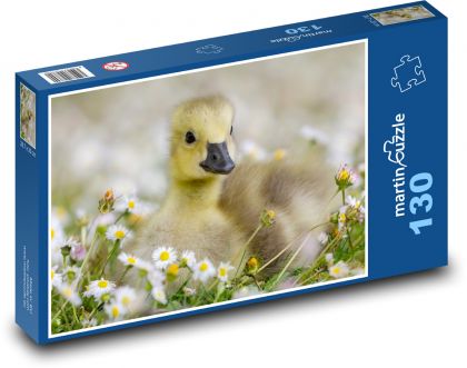 Kanadische Gans - Puzzle - 130 Teile