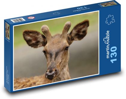 Europäischer Damhirsch - Puzzle - 130 Teile